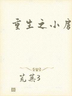 重生之小房东