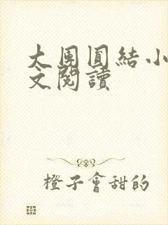 大团圆结小茹全文阅读