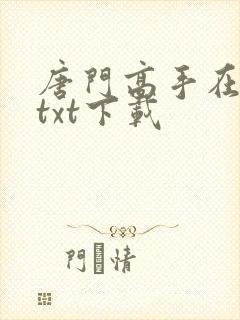 唐门高手在异世txt下载