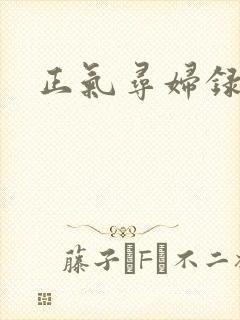正气寻妇录