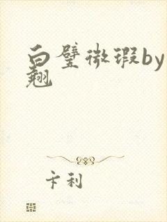 白璧微瑕by连翘