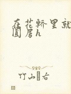 在花轿里就开始圆房h