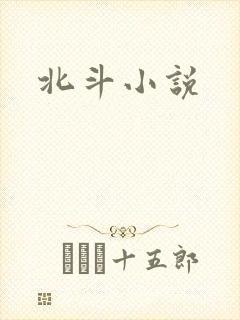 北斗小说