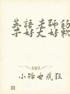 英语老师的小兔子好大好软水