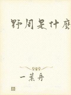 野周是什么意思