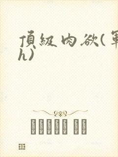 顶级肉欲(军高h)