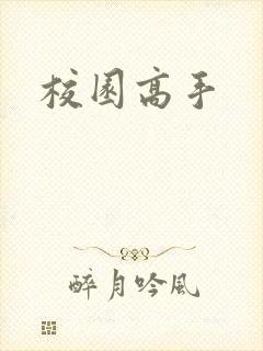校园高手
