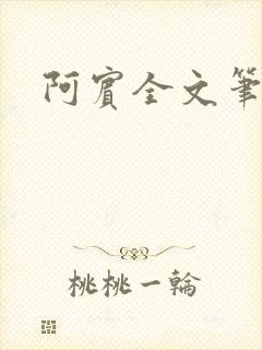 阿宾全文笔趣阁