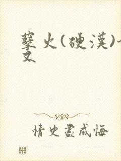 孽火(硬汉)今又