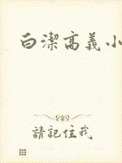 白洁高义小说