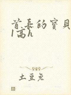 首长的宝贝1v1高h