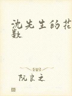 沈先生的花式调数