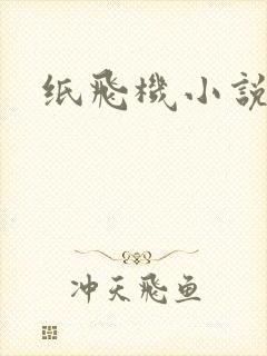 纸飞机小说