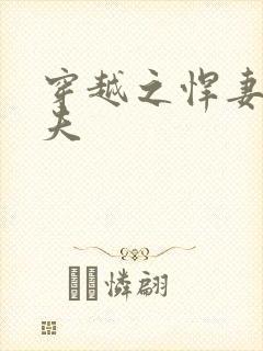 穿越之悍妻共三夫