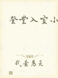 登堂入室小说