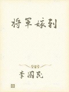 将军嫁到