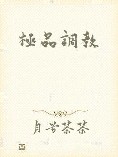 极品调教