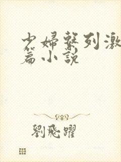 少妇系列激情短篇小说