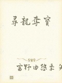 寻龙夺宝