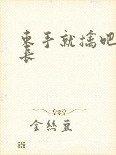 束手就擒吧韩队长