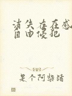 消失存在感消失自由侵犯