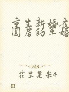 重生新婚夜正在圆房的军婚