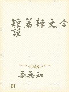 短篇辣文合集小说