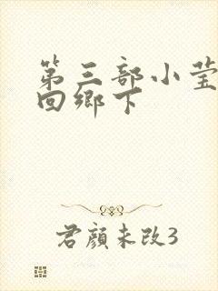 第三部小莹乱翁回乡下