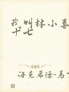 我叫林小喜今年十七