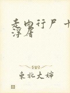 走肉行尸 十阶浮屠