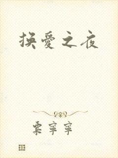 换爱之夜