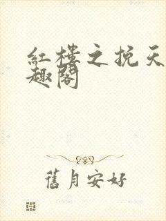 红楼之挽天倾笔趣阁