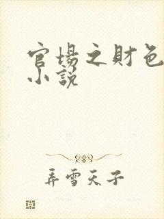 官场之财色诱人小说