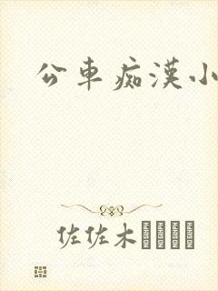 公车痴汉小说