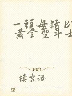 一头母猪 BY 黄金圣斗士