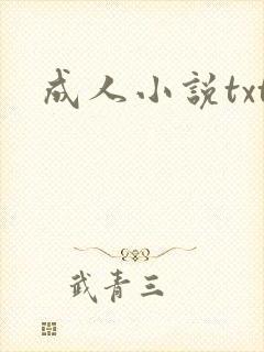 成人小说txt