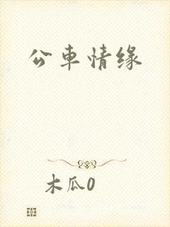 公车情缘
