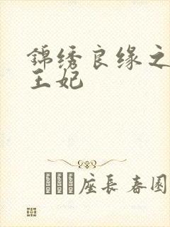 锦绣良缘之北地王妃