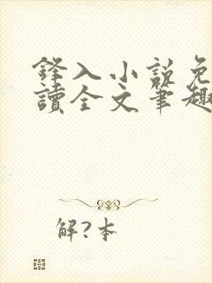 锋入小说免费阅读全文笔趣阁