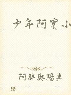 少年阿宾小说
