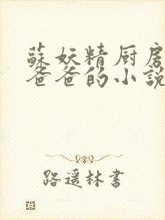 苏妖精厨房爹爹爸爸的小说