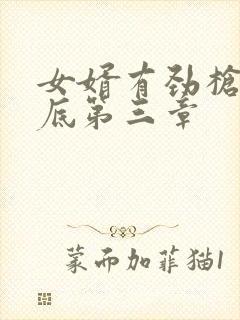 女婿有劲枪枪到底第三章