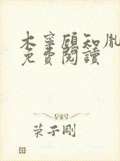 木宁顾知胤小说免费阅读