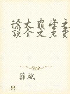 徐大巅峰之路小说全文免费阅读