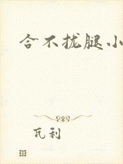 合不拢腿小说