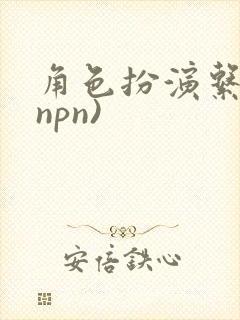 角色扮演系统(npn)