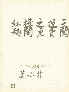 红楼之挽天倾笔趣阁免费阅读