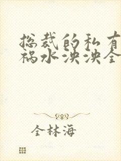 总裁的私有宝贝祸水泱泱全文阅读