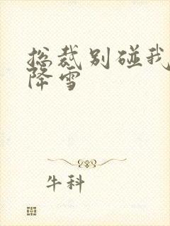 总裁别碰我 韩降雪