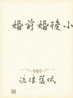 婚前婚后小说
